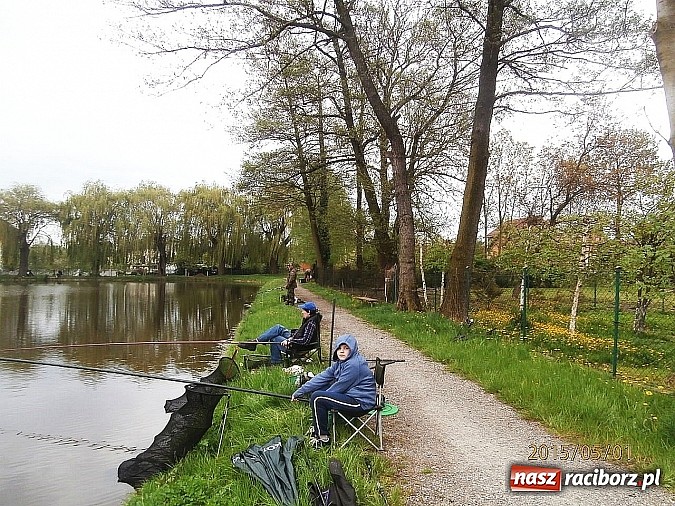 Zdjęcie w galerii na portalu naszraciborz.pl: Zawody wędkarskie na początek majówki wiadomości z regionu