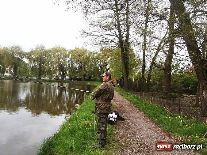 Zdjęcie w galerii na portalu naszraciborz.pl: Zawody wędkarskie na początek majówki wiadomości z regionu
