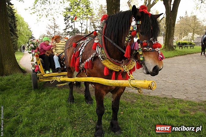 Zdjęcie w galerii na portalu naszraciborz.pl: W Pogrzebieniu 137. raz szli w procesji na św. Floriana. Prosili o ochronę przed gradem wiadomości z regionu