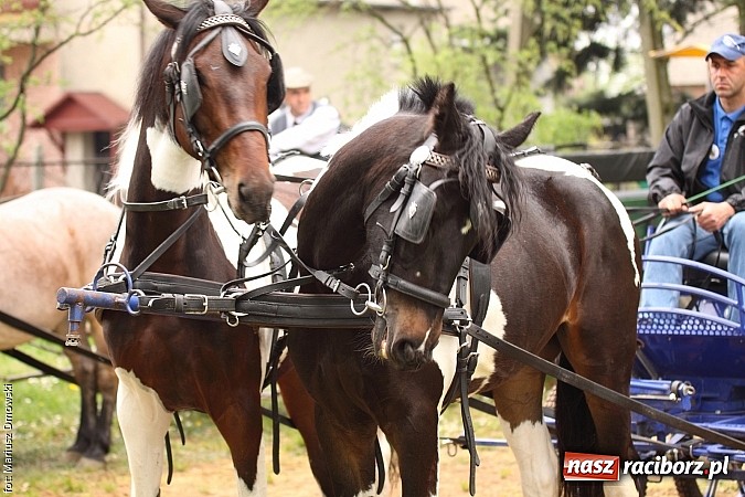 Zdjęcie w galerii na portalu naszraciborz.pl: W Pogrzebieniu 137. raz szli w procesji na św. Floriana. Prosili o ochronę przed gradem wiadomości z regionu