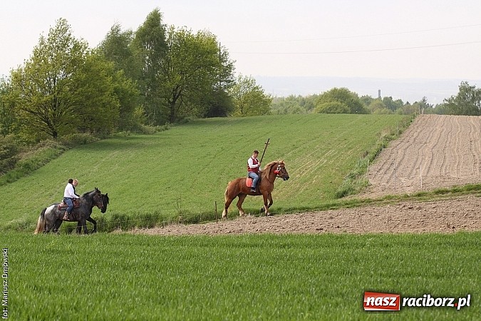 Zdjęcie w galerii na portalu naszraciborz.pl: W Pogrzebieniu 137. raz szli w procesji na św. Floriana. Prosili o ochronę przed gradem wiadomości z regionu