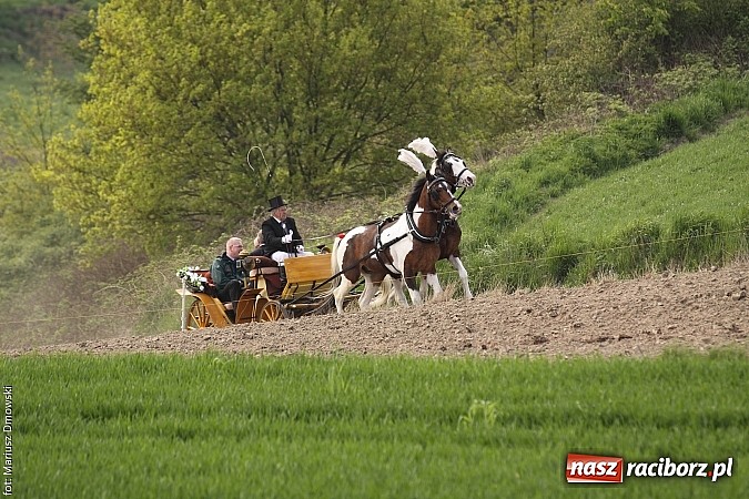 Zdjęcie w galerii na portalu naszraciborz.pl: W Pogrzebieniu 137. raz szli w procesji na św. Floriana. Prosili o ochronę przed gradem wiadomości z regionu