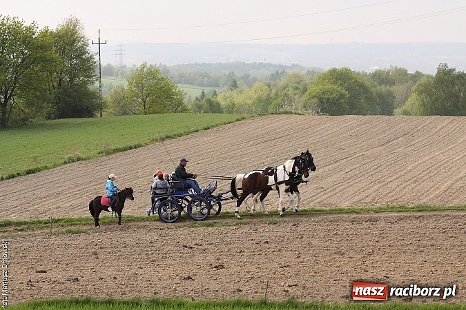 Zdjęcie w galerii na portalu naszraciborz.pl: W Pogrzebieniu 137. raz szli w procesji na św. Floriana. Prosili o ochronę przed gradem wiadomości z regionu