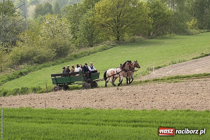 Zdjęcie w galerii na portalu naszraciborz.pl: W Pogrzebieniu 137. raz szli w procesji na św. Floriana. Prosili o ochronę przed gradem wiadomości z regionu
