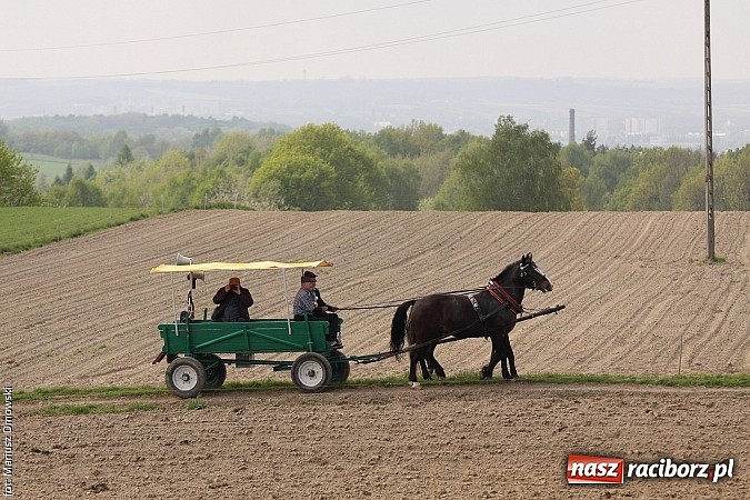 Zdjęcie w galerii na portalu naszraciborz.pl: W Pogrzebieniu 137. raz szli w procesji na św. Floriana. Prosili o ochronę przed gradem wiadomości z regionu