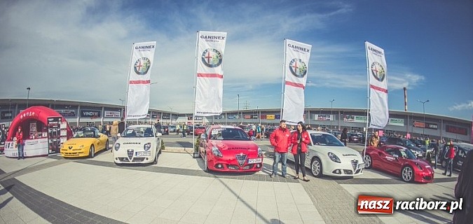 Zdjęcie w galerii na portalu naszraciborz.pl: Ponad tysiąc aut marki Alfa Romeo w jednym miejscu  wiadomości z regionu