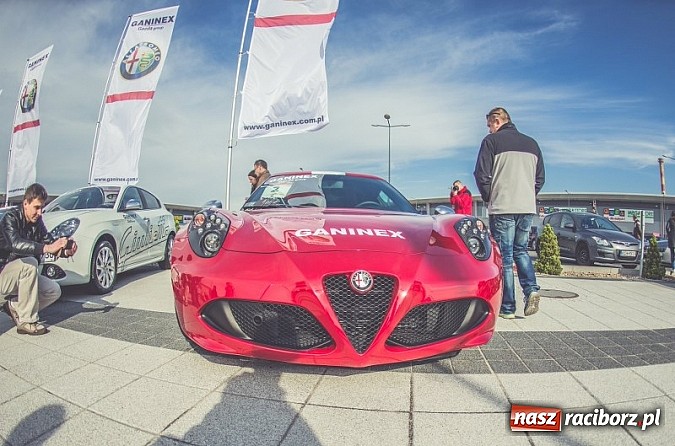 Zdjęcie w galerii na portalu naszraciborz.pl: Ponad tysiąc aut marki Alfa Romeo w jednym miejscu  wiadomości z regionu