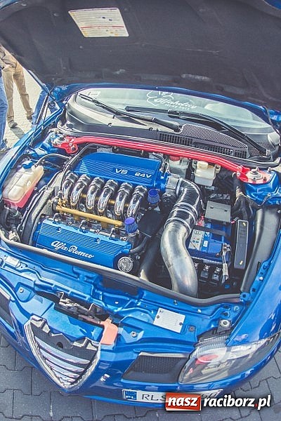 Zdjęcie w galerii na portalu naszraciborz.pl: Ponad tysiąc aut marki Alfa Romeo w jednym miejscu  wiadomości z regionu