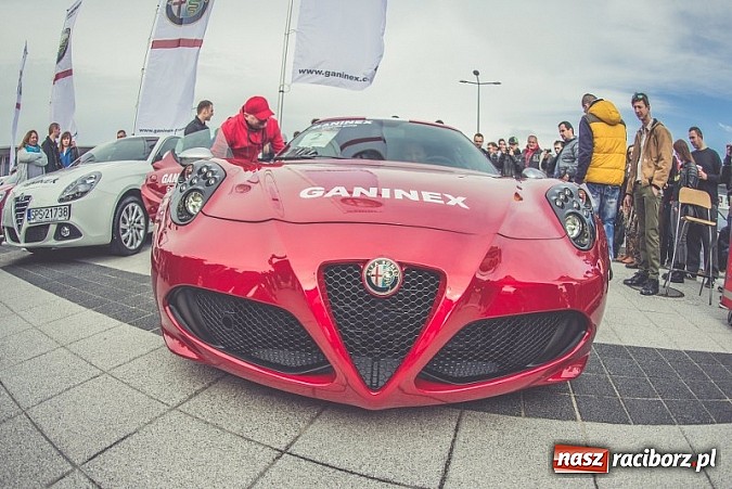 Zdjęcie w galerii na portalu naszraciborz.pl: Ponad tysiąc aut marki Alfa Romeo w jednym miejscu  wiadomości z regionu