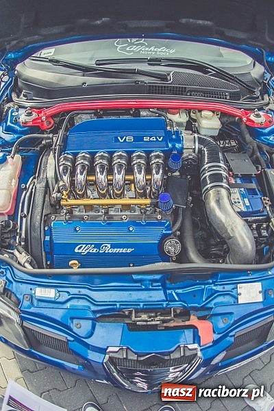 Zdjęcie w galerii na portalu naszraciborz.pl: Ponad tysiąc aut marki Alfa Romeo w jednym miejscu  wiadomości z regionu