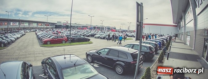 Zdjęcie w galerii na portalu naszraciborz.pl: Ponad tysiąc aut marki Alfa Romeo w jednym miejscu  wiadomości z regionu