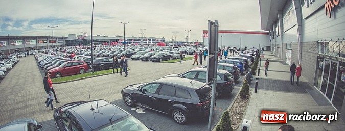 Zdjęcie w galerii na portalu naszraciborz.pl: Ponad tysiąc aut marki Alfa Romeo w jednym miejscu  wiadomości z regionu