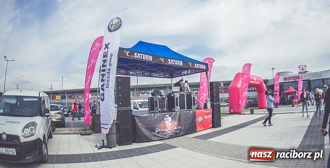 Zdjęcie w galerii na portalu naszraciborz.pl: Ponad tysiąc aut marki Alfa Romeo w jednym miejscu  wiadomości z regionu