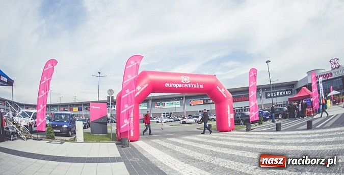 Zdjęcie w galerii na portalu naszraciborz.pl: Ponad tysiąc aut marki Alfa Romeo w jednym miejscu  wiadomości z regionu