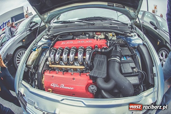 Zdjęcie w galerii na portalu naszraciborz.pl: Ponad tysiąc aut marki Alfa Romeo w jednym miejscu  wiadomości z regionu