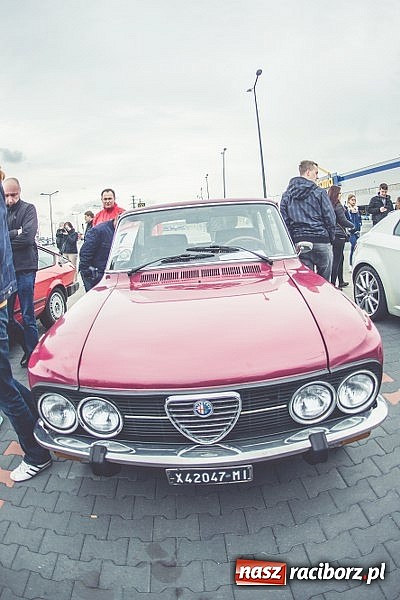 Zdjęcie w galerii na portalu naszraciborz.pl: Ponad tysiąc aut marki Alfa Romeo w jednym miejscu  wiadomości z regionu