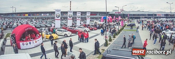 Zdjęcie w galerii na portalu naszraciborz.pl: Ponad tysiąc aut marki Alfa Romeo w jednym miejscu  wiadomości z regionu