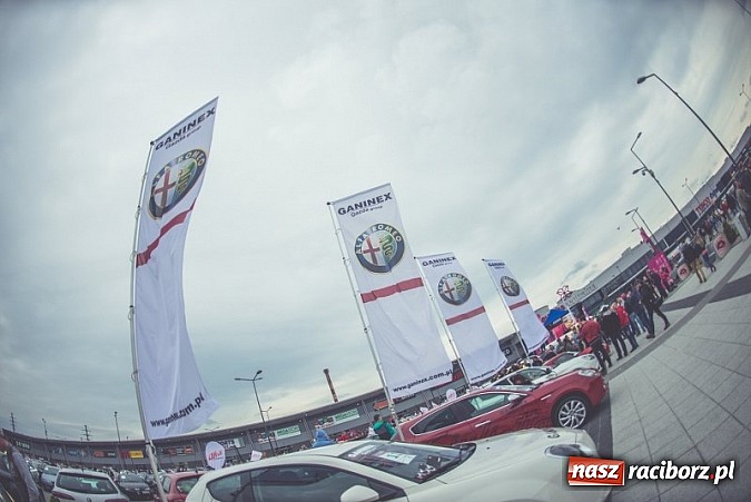 Zdjęcie w galerii na portalu naszraciborz.pl: Ponad tysiąc aut marki Alfa Romeo w jednym miejscu  wiadomości z regionu