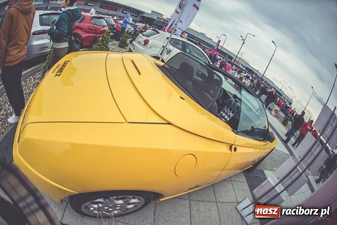 Zdjęcie w galerii na portalu naszraciborz.pl: Ponad tysiąc aut marki Alfa Romeo w jednym miejscu  wiadomości z regionu