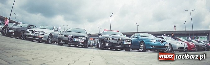 Zdjęcie w galerii na portalu naszraciborz.pl: Ponad tysiąc aut marki Alfa Romeo w jednym miejscu  wiadomości z regionu