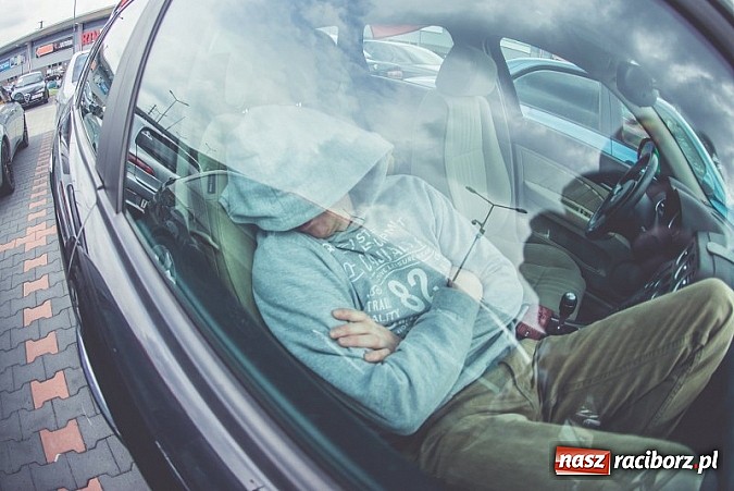 Zdjęcie w galerii na portalu naszraciborz.pl: Ponad tysiąc aut marki Alfa Romeo w jednym miejscu  wiadomości z regionu