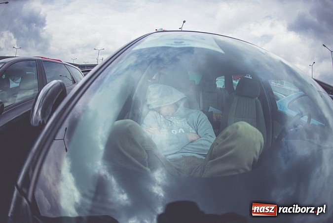 Zdjęcie w galerii na portalu naszraciborz.pl: Ponad tysiąc aut marki Alfa Romeo w jednym miejscu  wiadomości z regionu