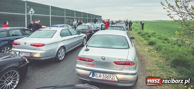 Zdjęcie w galerii na portalu naszraciborz.pl: Ponad tysiąc aut marki Alfa Romeo w jednym miejscu  wiadomości z regionu