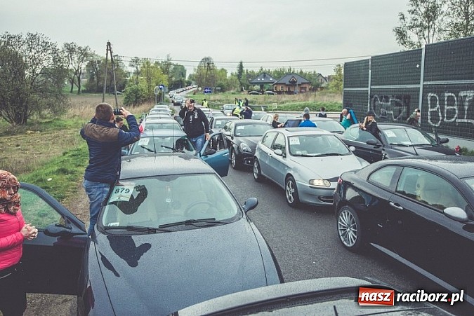 Zdjęcie w galerii na portalu naszraciborz.pl: Ponad tysiąc aut marki Alfa Romeo w jednym miejscu  wiadomości z regionu
