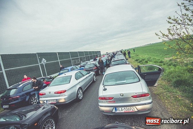 Zdjęcie w galerii na portalu naszraciborz.pl: Ponad tysiąc aut marki Alfa Romeo w jednym miejscu  wiadomości z regionu
