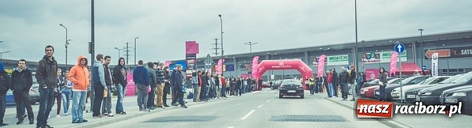 Zdjęcie w galerii na portalu naszraciborz.pl: Ponad tysiąc aut marki Alfa Romeo w jednym miejscu  wiadomości z regionu
