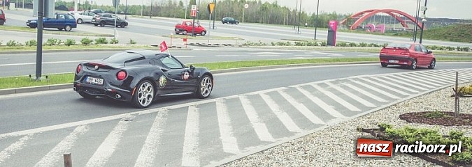 Zdjęcie w galerii na portalu naszraciborz.pl: Ponad tysiąc aut marki Alfa Romeo w jednym miejscu  wiadomości z regionu