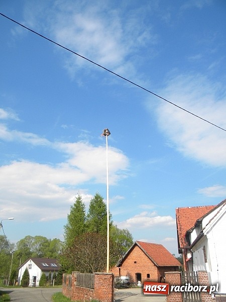 Zdjęcie w galerii na portalu naszraciborz.pl: Moik góruje nad Rudą Kozielską  wiadomości z regionu