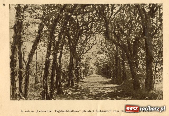 Zdjęcie w galerii na portalu naszraciborz.pl: Ratibor. Die Heimat Eichendorffs FOTO wiadomości z regionu