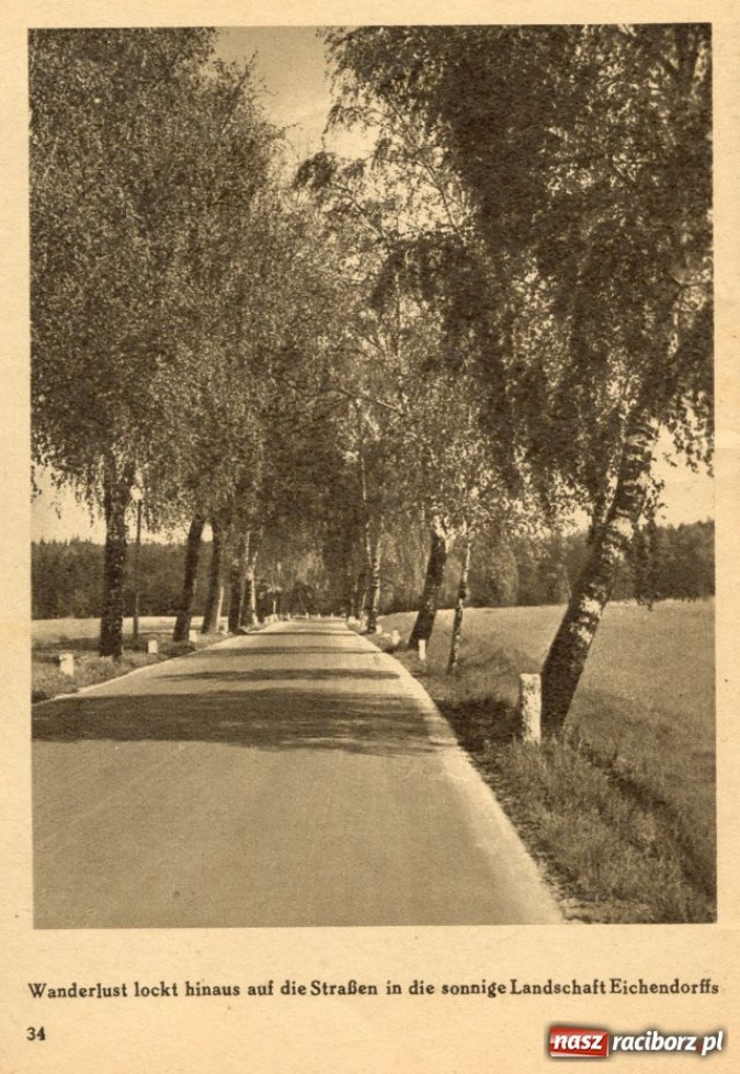 Zdjęcie w galerii na portalu naszraciborz.pl: Ratibor. Die Heimat Eichendorffs FOTO wiadomości z regionu