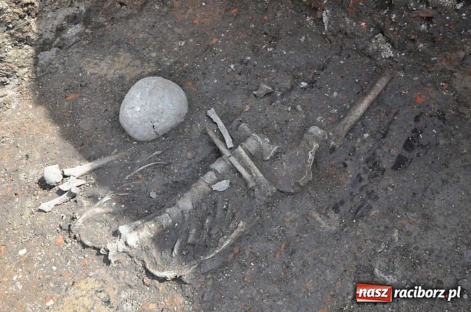 Zdjęcie w galerii na portalu naszraciborz.pl: Wykopaliska przy kościele pw. św. Jakuba przynoszą ciekawe odkrycia. Są tu groby skazańców wiadomości z regionu