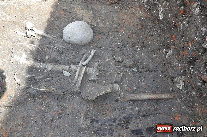 Zdjęcie w galerii na portalu naszraciborz.pl: Wykopaliska przy kościele pw. św. Jakuba przynoszą ciekawe odkrycia. Są tu groby skazańców wiadomości z regionu