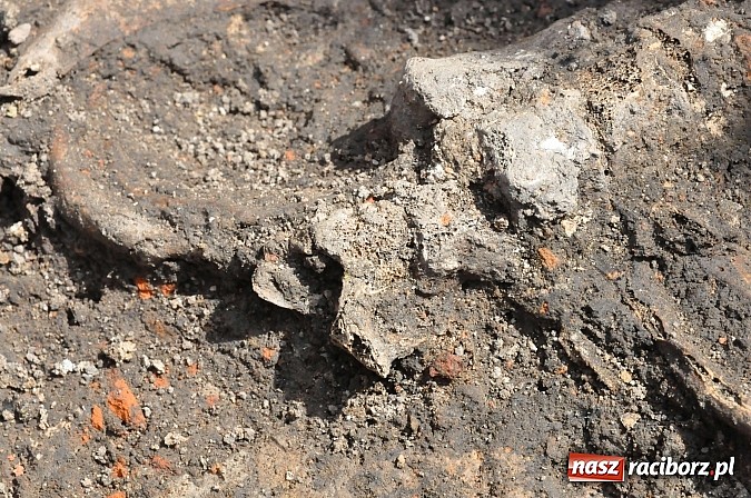 Zdjęcie w galerii na portalu naszraciborz.pl: Wykopaliska przy kościele pw. św. Jakuba przynoszą ciekawe odkrycia. Są tu groby skazańców wiadomości z regionu