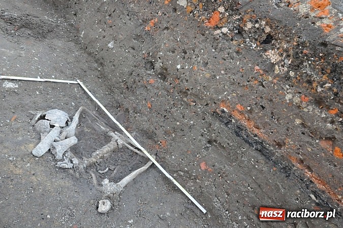 Zdjęcie w galerii na portalu naszraciborz.pl: Wykopaliska przy kościele pw. św. Jakuba przynoszą ciekawe odkrycia. Są tu groby skazańców wiadomości z regionu