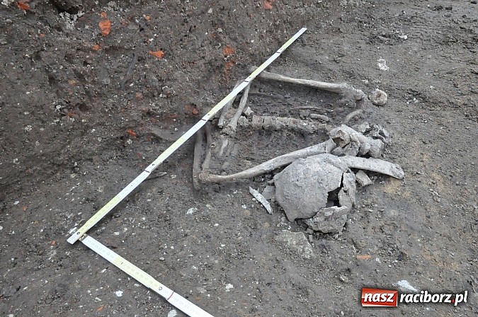 Zdjęcie w galerii na portalu naszraciborz.pl: Wykopaliska przy kościele pw. św. Jakuba przynoszą ciekawe odkrycia. Są tu groby skazańców wiadomości z regionu