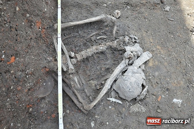 Zdjęcie w galerii na portalu naszraciborz.pl: Wykopaliska przy kościele pw. św. Jakuba przynoszą ciekawe odkrycia. Są tu groby skazańców wiadomości z regionu