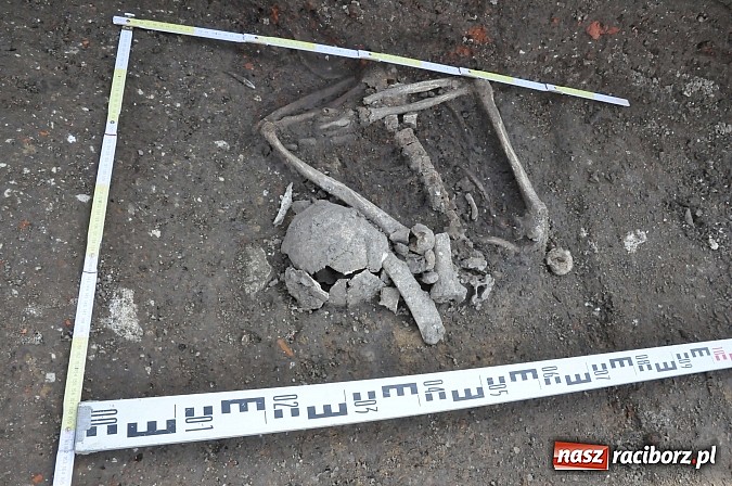 Zdjęcie w galerii na portalu naszraciborz.pl: Wykopaliska przy kościele pw. św. Jakuba przynoszą ciekawe odkrycia. Są tu groby skazańców wiadomości z regionu