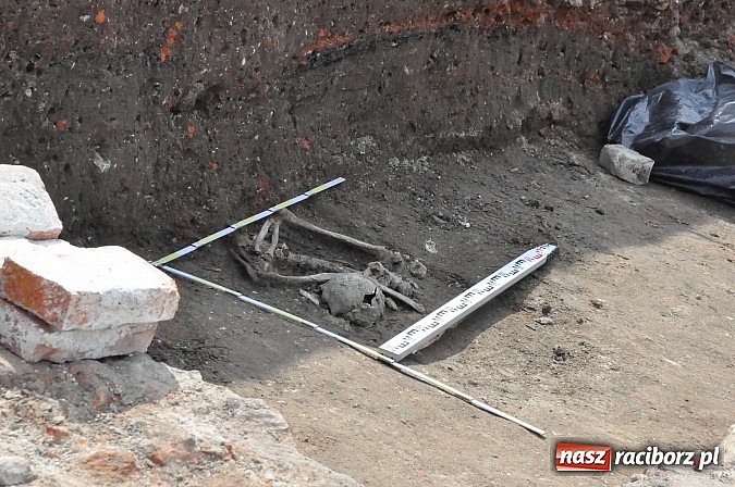 Zdjęcie w galerii na portalu naszraciborz.pl: Wykopaliska przy kościele pw. św. Jakuba przynoszą ciekawe odkrycia. Są tu groby skazańców wiadomości z regionu