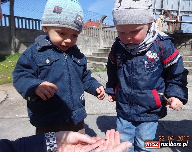 Zdjęcie w galerii na portalu naszraciborz.pl: Wycieczki Fikusiów z Raciborskiego Centrum Kultury wiadomości z regionu