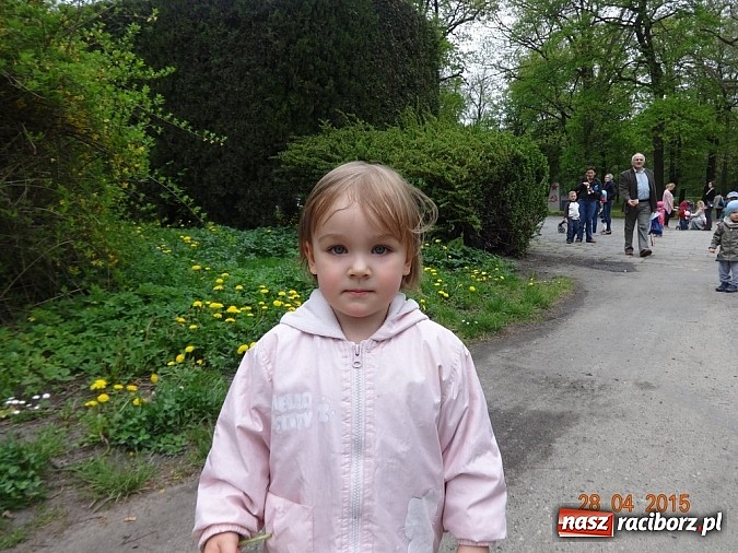 Zdjęcie w galerii na portalu naszraciborz.pl: Wycieczki Fikusiów z Raciborskiego Centrum Kultury wiadomości z regionu