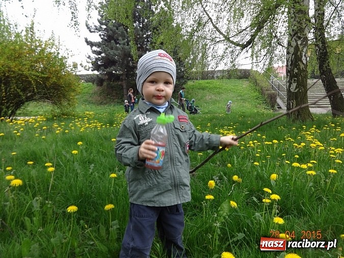 Zdjęcie w galerii na portalu naszraciborz.pl: Wycieczki Fikusiów z Raciborskiego Centrum Kultury wiadomości z regionu