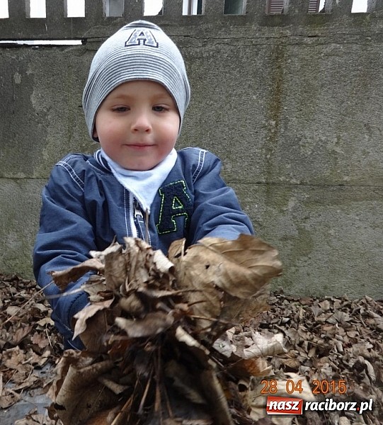 Zdjęcie w galerii na portalu naszraciborz.pl: Wycieczki Fikusiów z Raciborskiego Centrum Kultury wiadomości z regionu
