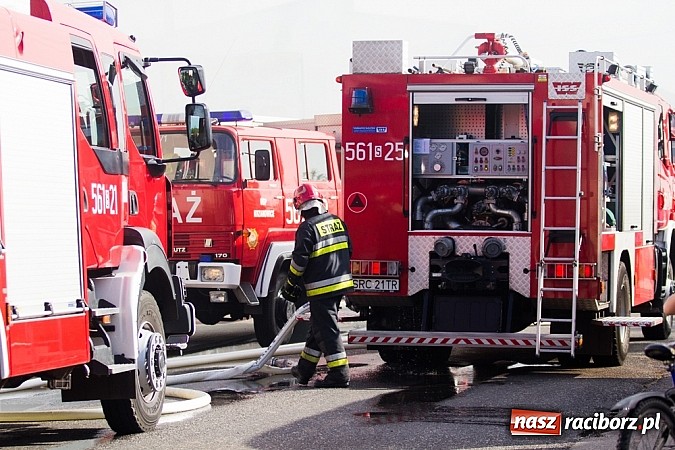 Zdjęcie w galerii na portalu naszraciborz.pl: Pożar stodoły w Borucinie. Podczas akcji strażacy musieli ewakuować zwierzęta wiadomości z regionu