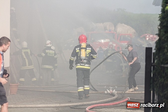 Zdjęcie w galerii na portalu naszraciborz.pl: Pożar stodoły w Borucinie. Podczas akcji strażacy musieli ewakuować zwierzęta wiadomości z regionu