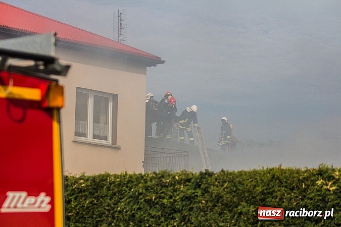 Zdjęcie w galerii na portalu naszraciborz.pl: Pożar stodoły w Borucinie. Podczas akcji strażacy musieli ewakuować zwierzęta wiadomości z regionu