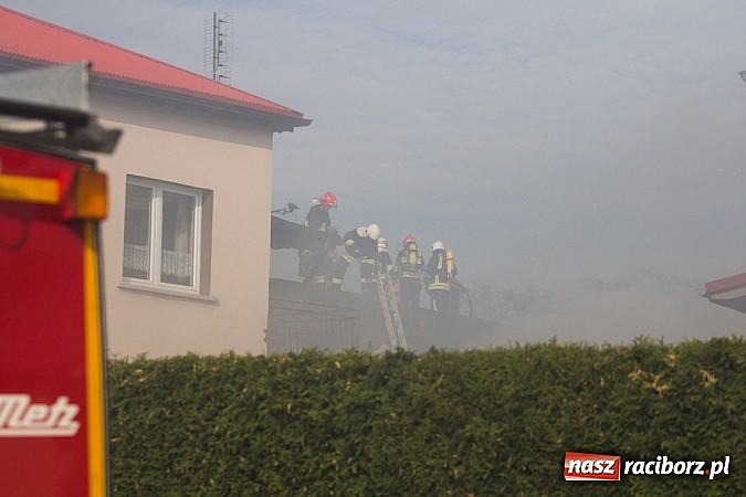 Zdjęcie w galerii na portalu naszraciborz.pl: Pożar stodoły w Borucinie. Podczas akcji strażacy musieli ewakuować zwierzęta wiadomości z regionu